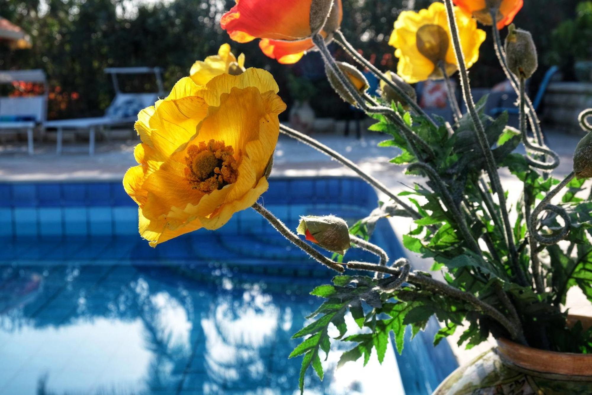 Il Mandorleto Bed & Breakfast Avola